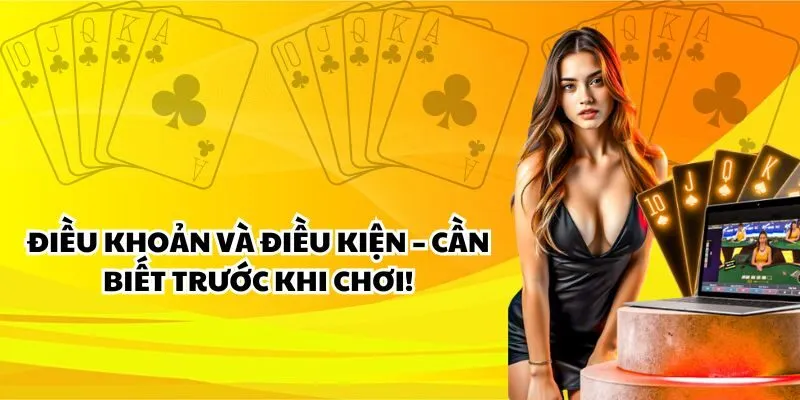 Thông tin chung về điều khoản và điều kiện