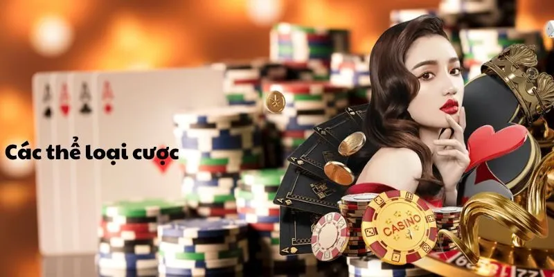 Các thể loại cược game bài Baccarat