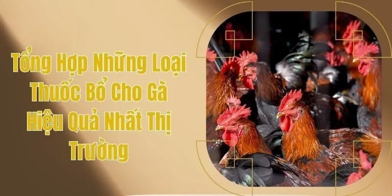 thuốc bổ cho gà