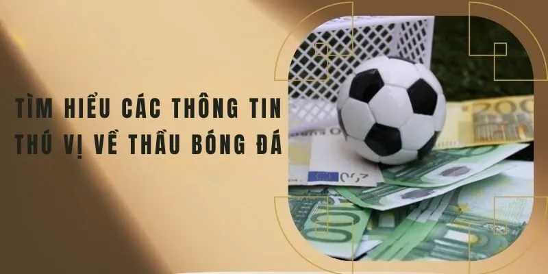 Thầu bóng đá
